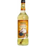 Spišská Borovička Dubové dřevo 40% 0,7 l (holá láhev) – Zboží Dáma