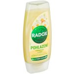 Radox Pohlazení sprchový gel 225 ml – Sleviste.cz