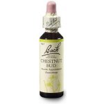 Bachovy květové esence Chestnut Bud Poupě jírovce maďalu 20 ml – Hledejceny.cz