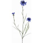 Chrpa modrá větvička 2 květy, 1 poupě, hebký stonek s listy, jako skutečná, 70cm – Zboží Mobilmania