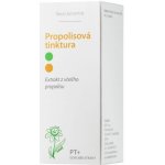 Dědek kořenář Novy Propolisová tinktura PT 100 ml – Hledejceny.cz