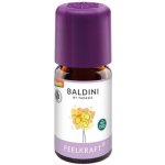 Taoasis Baldini Směs éterických olejů FeelPower BIO 5 ml – Hledejceny.cz