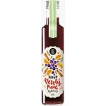 KOLDOKOL Veselý punč sirup 250 ml – Hledejceny.cz