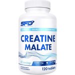 SFD NUTRITION Creatine Malate 120 tablet – Zboží Dáma