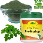 cdVet Bio Moringa 200 g – Hledejceny.cz