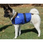 HyperKewl Dog Vest chladící vesta pro psy – Zbozi.Blesk.cz