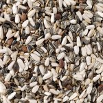 Deli Nature 62 Parrots Breeding 15 kg – Zbozi.Blesk.cz