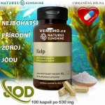 Nature's Sunshine Kelp 100 kapslí – Hledejceny.cz