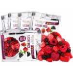 Mixit Křupavé ovoce do kapsy Lesní mix 20 g – Sleviste.cz