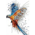Gaira Malování podle čísel Papoušek – Zboží Dáma