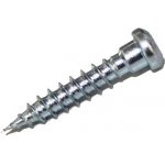 Vrut pro Fe desky, tes. Kov. TX20 5x50 ZB s půlkulatou hlavou / balení 200 ks – Zboží Mobilmania