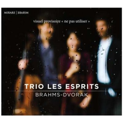 Brahms - Trio Pour Piano Et Cordes No. 1 Opus 8/... Digipack CD – Zboží Mobilmania