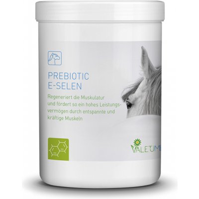 Valetumed Prebiotic E Selen 0,75 kg – Zboží Mobilmania