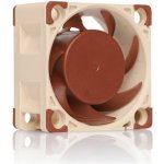 Noctua NF-A4x20-PWM – Sleviste.cz
