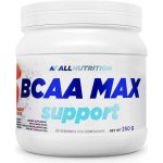 ALLNUTRITION BCAA Max Support 250g – Hledejceny.cz