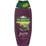 Palmolive Memories of Nature Berry Picking sprchový gel 250 ml – Hledejceny.cz