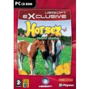 Horsez: Dědictví hřebčína