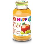 HiPP BIO Jablečno-hroznová 6 x 200 ml – Zboží Dáma