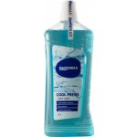 Dentamax Cool Fresh 1 l – Zboží Mobilmania