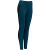 Dámské spodky Devold Running Woman Tights, Flood