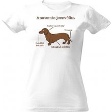 Tričko s potiskem Anatomie jezevčíka dámské Bílá