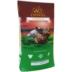 Energy´s Midi krmivo pro kuřata granulované 25kg – Hledejceny.cz