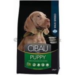 Cibau Dog Puppy Maxi 2,5 kg – Hledejceny.cz