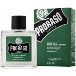 Proraso Eukalyptus balzám na vousy 100 ml – Zboží Dáma Proraso Eukalyptus balzám na vousy 100 ml – Zboží Dáma