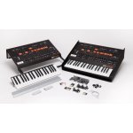 Korg ARP Odyssey FS Kit – Zbozi.Blesk.cz