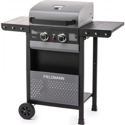 Fieldmann FZG 3000 – Hledejceny.cz