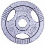 inSPORTline Hamerton Ocelový kotouč 5 kg 30mm – Zboží Dáma