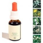 Bachovy kapky První pomoc 20 ml – Hledejceny.cz