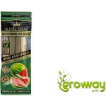 King Palm Slims palmový blunt Watermelon Wave 2 ks – Zboží Dáma