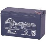 FSP 12V 7Ah MPF0000100GP – Zboží Živě