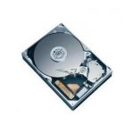 Seagate Barracuda ES 1TB, 3,5", 7200rpm, SATAII, 31MB, ST31000340NS – Hledejceny.cz