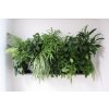 Obraz Ortisgreen Obraz z živých rostlin Hub Duo 50x50 cm pro 13 rostlin, neosázený, tmavě šedá