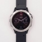 Garmin fenix5 Optic – Zbozi.Blesk.cz