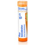 RHUS TOXICODENDRON POR 15CH GRA 4G – Zboží Mobilmania
