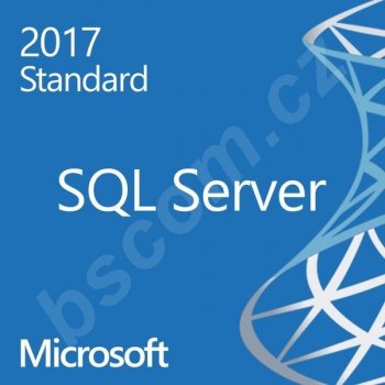 Microsoft SQL Svr Std 2017 OLP NL 228-11135