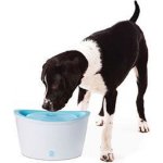 Fontána Dogit ZEUS 6 l – Zboží Dáma