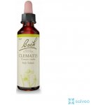 Bach Esence Nr. 9 Clematis 20 ml – Hledejceny.cz