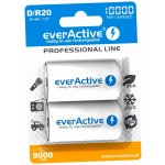everActive professional line D 10000mAh 2ks EVHRL20-10000 – Zboží Živě