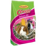 Avicentra Classic Menu Morče 1 kg – HobbyKompas.cz