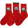 Darré dámské ponožky Vánoce přicházejí C termo