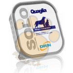 Solo Adult Dog 100% Quaglia křepelka 300 g – Zbozi.Blesk.cz