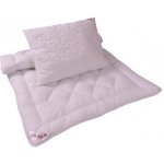 2G Přikrývka a polštář Aneta set 135x200 70x90 540g – Zboží Dáma