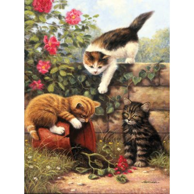 Royal Langnickel Malování podle čísel 22x30 cm - Koťata – Zboží Dáma