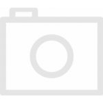 Hiflofiltro Olejový filtr HF691 – Hledejceny.cz