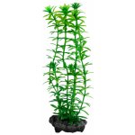 Tetra Anacharis 15 cm – Sleviste.cz