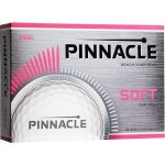 Pinnacle Soft – Zbozi.Blesk.cz